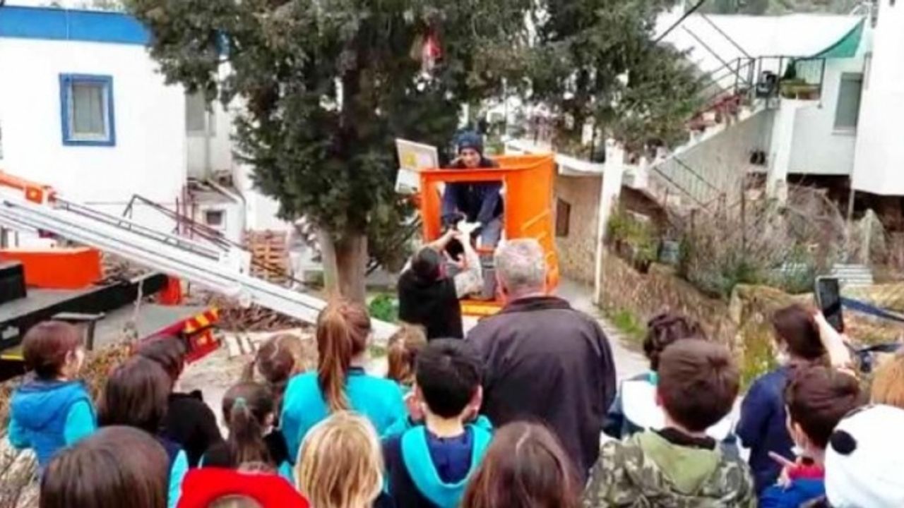 BODRUM'DAKİ AĞAÇTA MAHSUR KALAN KEDİ KURTARILDI