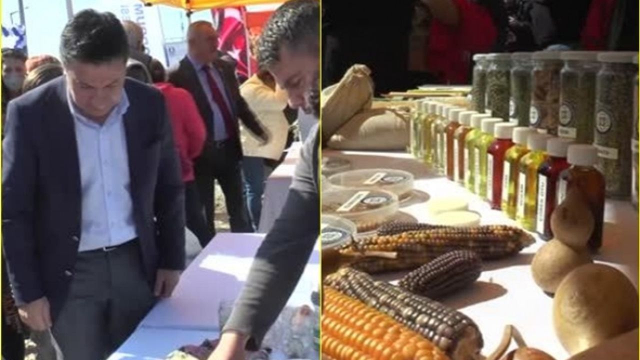 Bodrum Tohum Takas Şenliği'nde Ata Tohumları El Değiştirdi
