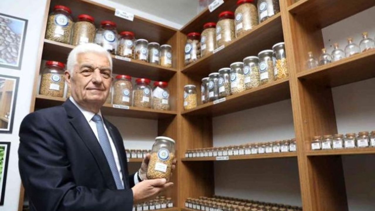 Muğla Büyükşehir Belediyesi Ata Tohumlarını Üreticilere Dağıtmaya Devam Ediyor