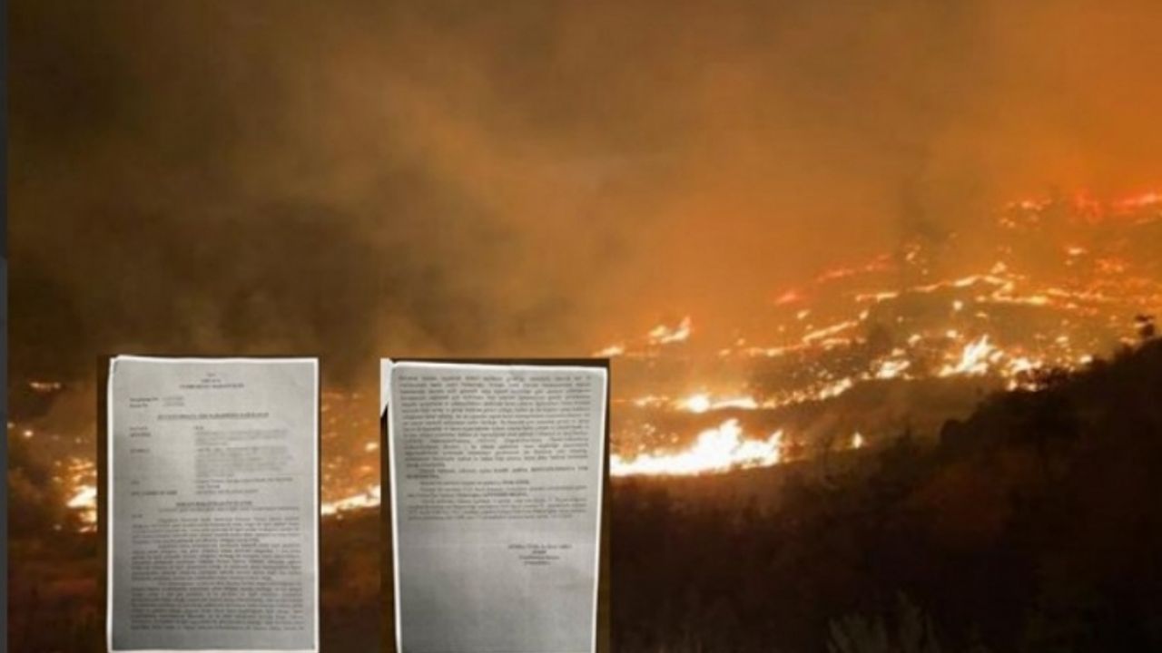 HABER48'İN DALAMAN SIRADERE YANGINI HABERİ HAKKINDA DAVA AÇAN MÜDÜRE "BASIN ÖZGÜRLÜĞÜ" TOKADI