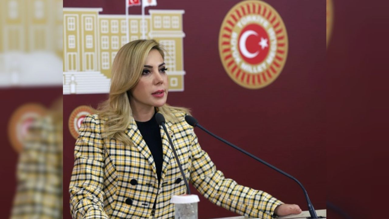AK Parti Muğla Milletvekili Gökcan'dan 1 Mayıs Emek ve Dayanışma Günü Mesajı