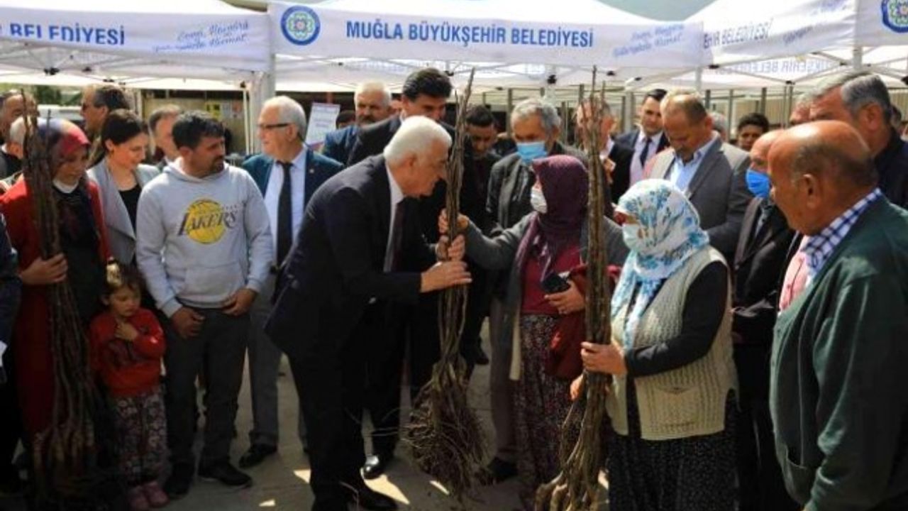 Başkan Osman Gürün, Fethiye'deki Kırsal Kalkınma Projelerini İnceledi