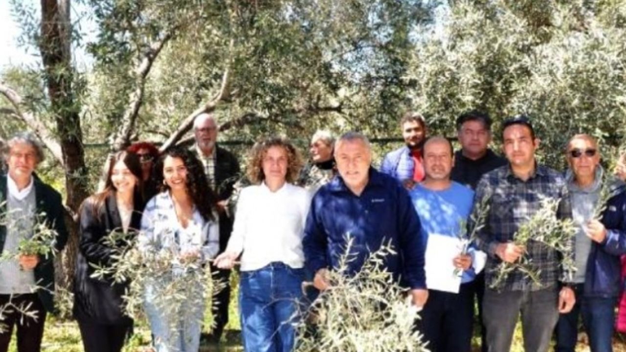 Bodrum'da Çevreciler RES'lere Yönelik ÇED İptal Davalarını 4 Kez Kazandı