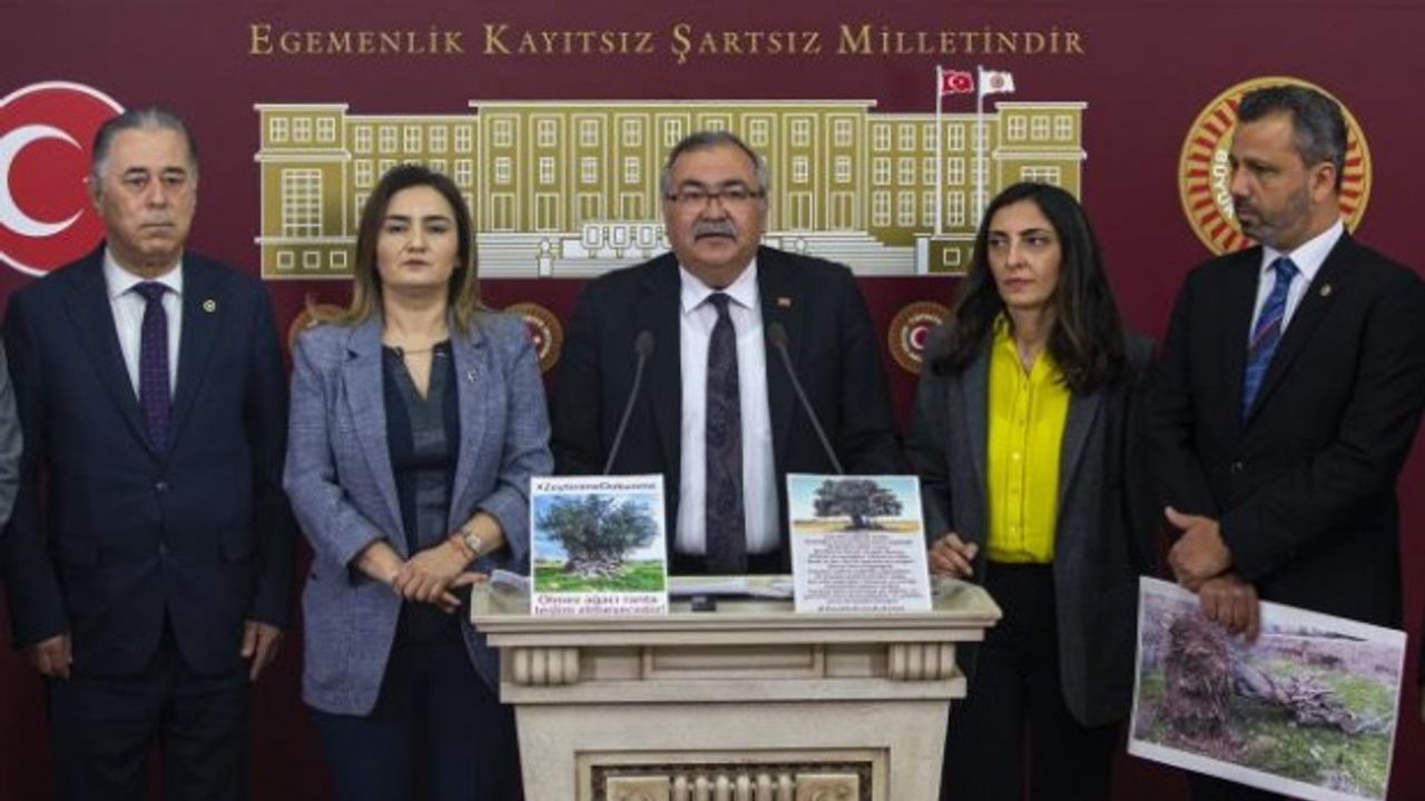 CHP'li Milletvekilleri: "Zeytinlik Alanların Madenciliğe Açılmasıyla Çevre Zarar Görecek"