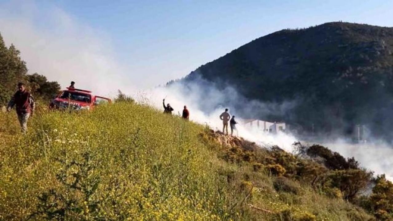 Datça'da Makilik Alanda Çıkan Yangın Ormana Sıçramadan Söndürüldü