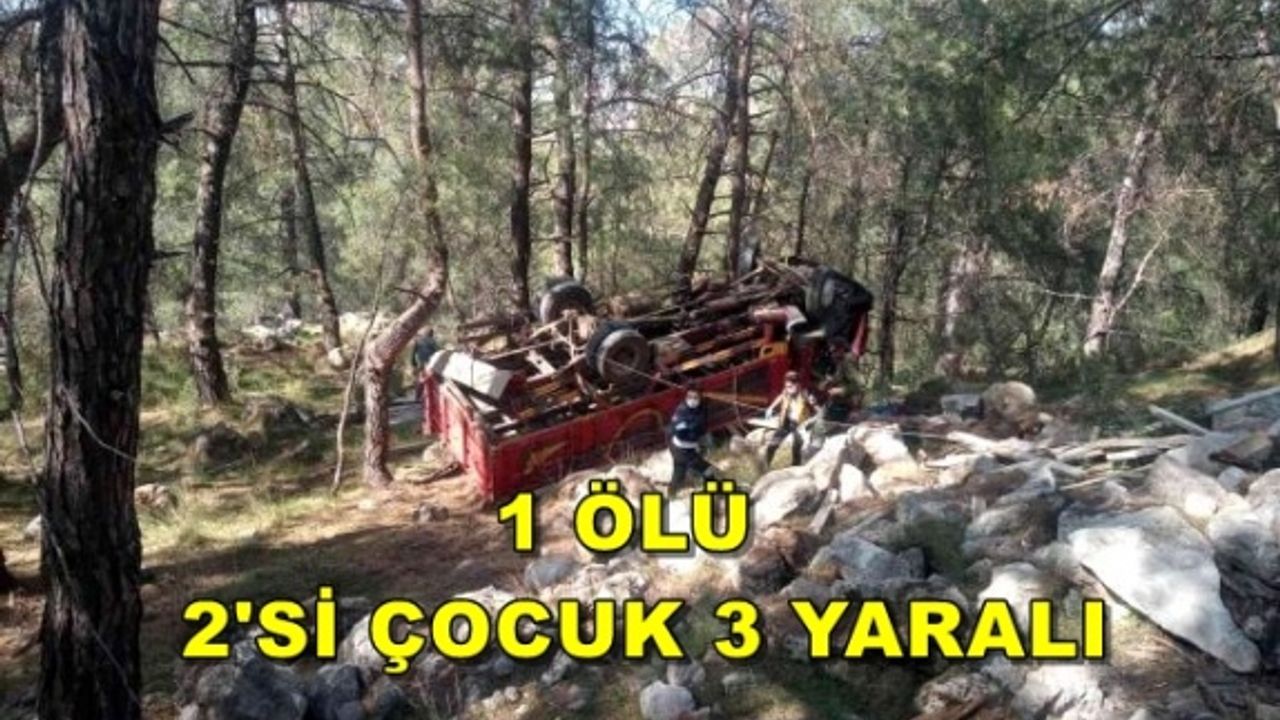 Fethiye'de Kereste Yüklü Kamyonet Şarampole Yuvarlandı!