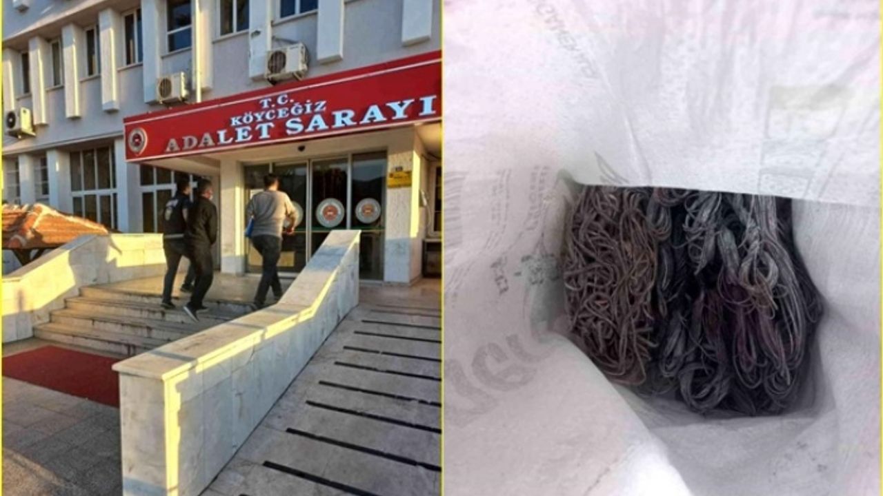 Köyceğiz Polisi Hırsızlara Göz Açtırmıyor