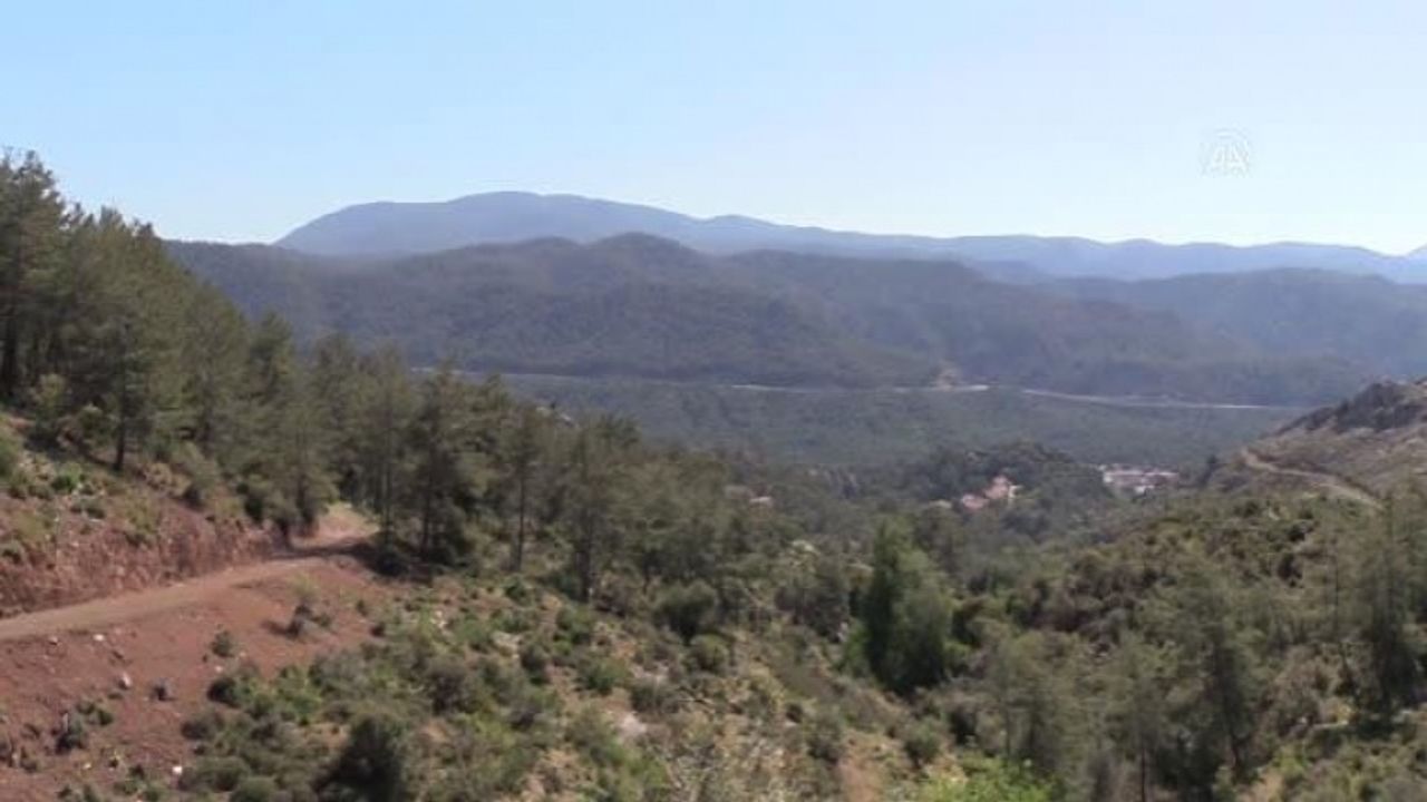 Marmaris Milli Parkı Arı Ve Arıcılara Yuva Oldu