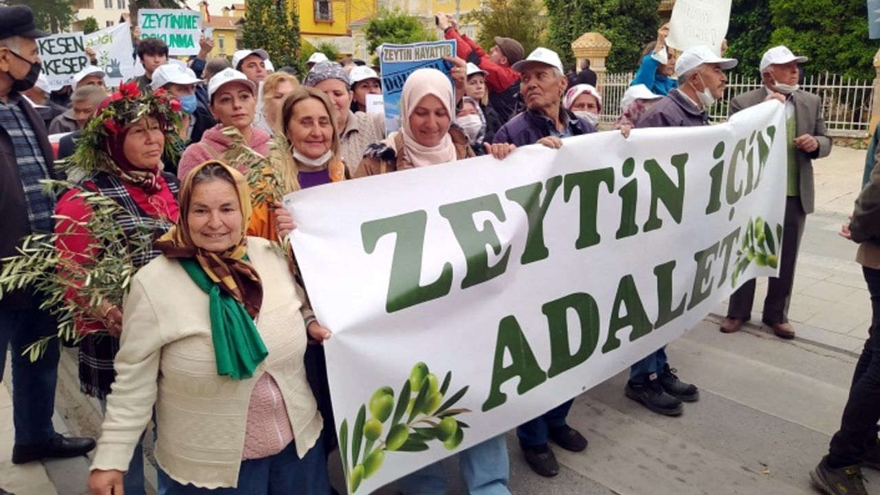 Milas'ta Halk ‘Zeytin Hayattır’ Mitinginde Sokağa İndi!
