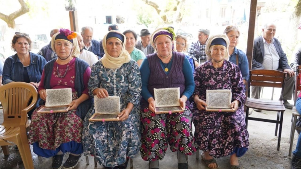 Milas'ta Kırsalda Taşayan Vatandaşlara İpek Böceği Larvası ve Halı İpi Dağıtıldı