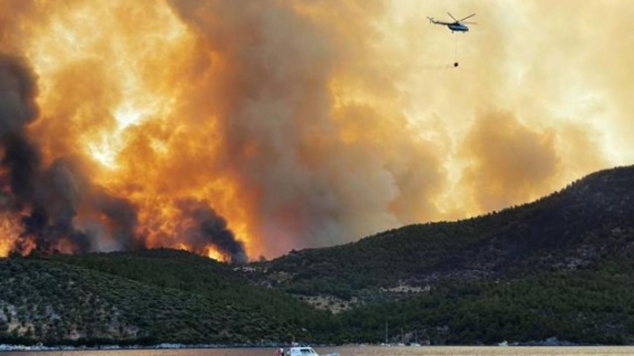 MSKÜ Araştırmacılarının "Yangınların Sosyo-Ekonomik Etkileri" Projesi WWF Raporunda