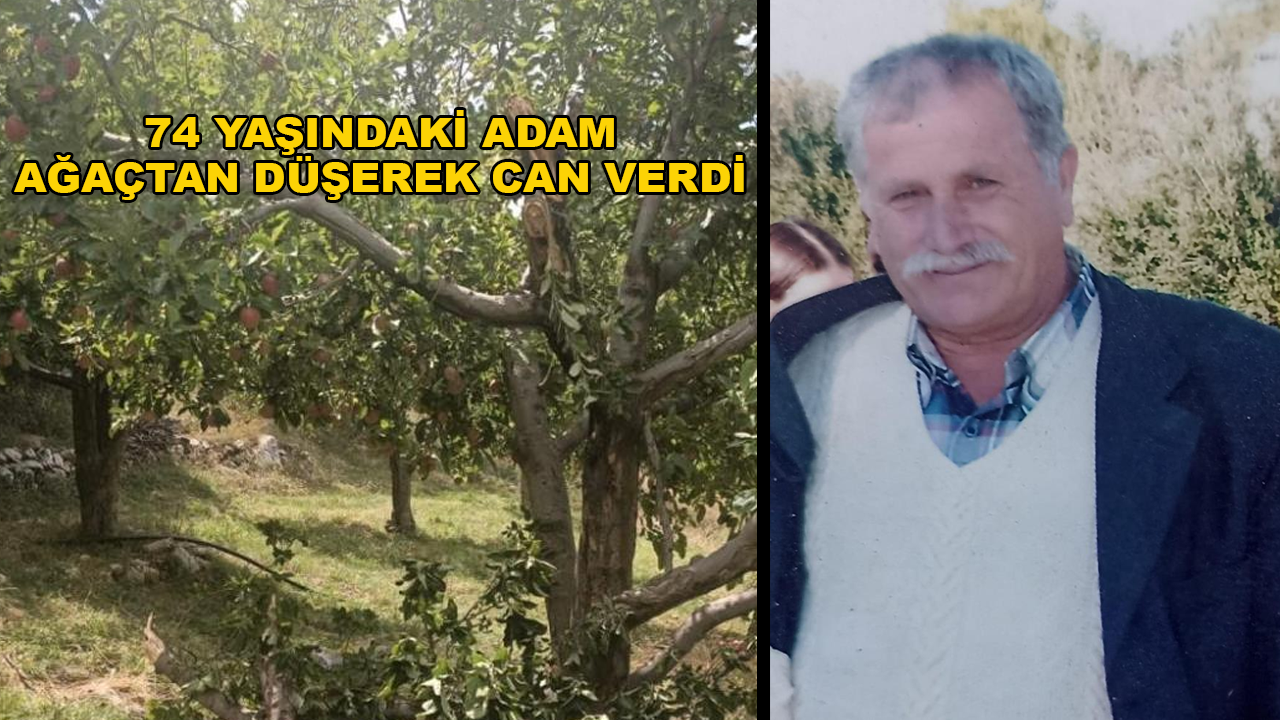 Meyve Toplamak İçin Çıktığı Ağaçtan Düşerek Hayatını Kaybetti