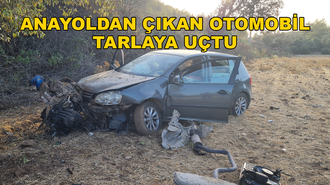Bodrum'da Tarlaya Uçan Otomobilin Sürücüsü Hayatını Kaybetti