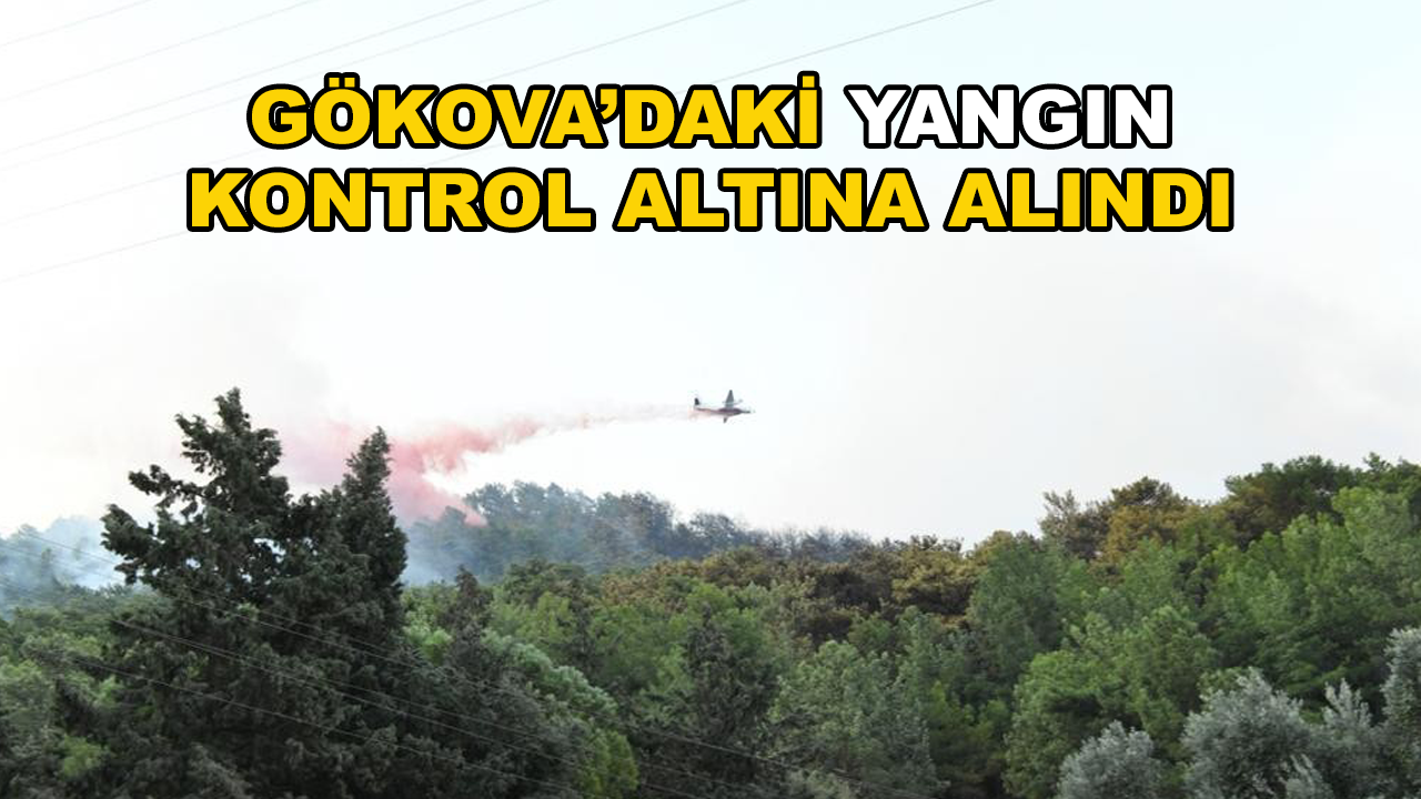 Gökova'da Havadan Müdahalenin Başladığı Yangın Kontrol Altına Alındı