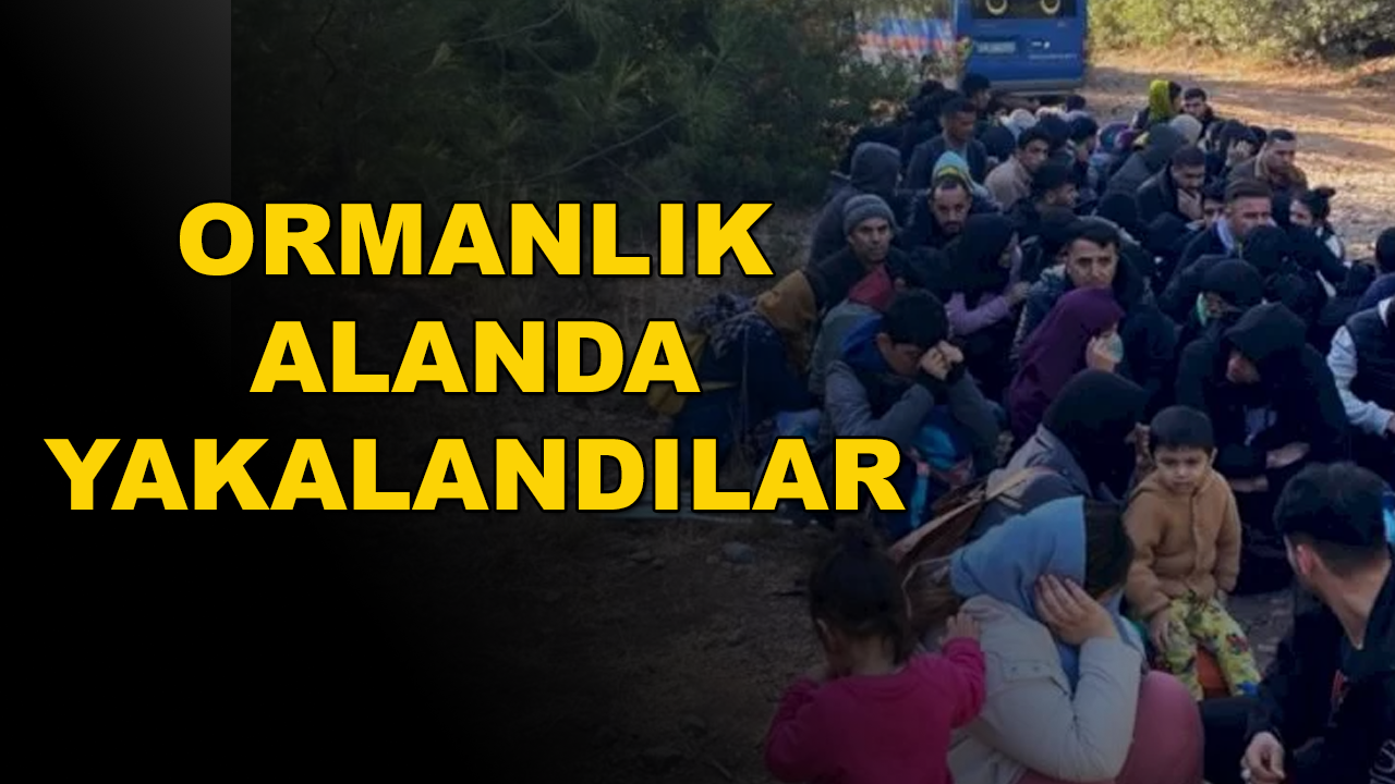 Bodrum'da 68 Düzensiz Göçmen Yakalandı 2 Kişi Tutuklandı