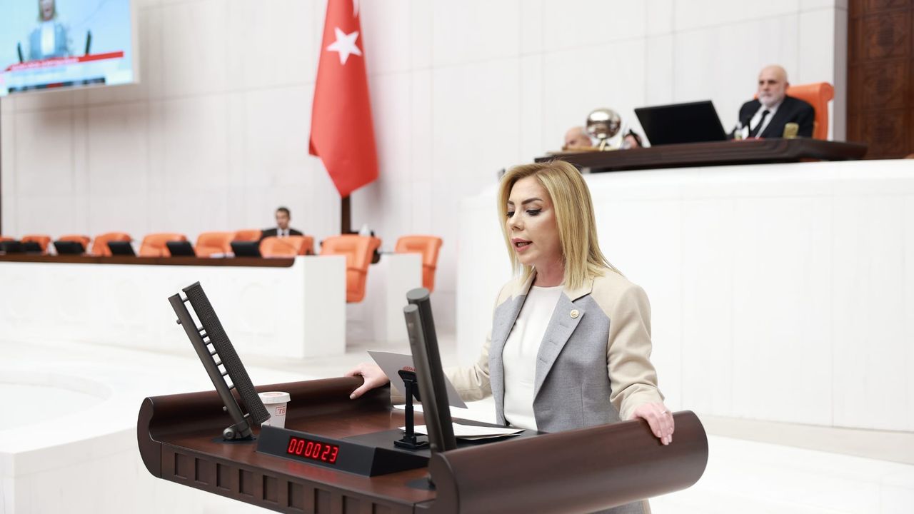 AKP Muğla Milletvekili Gökcan TBMM Genel Kurulunda Konuştu