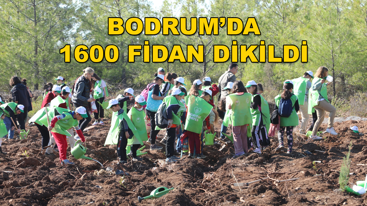 Bodrum'daki Fidan Dikme Etkinliğine Çok Sayıda Gönüllü Katıldı