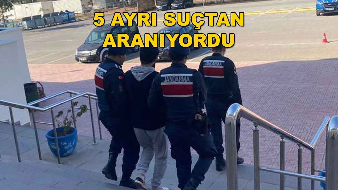 Jandarma Bodrum'da 5 Ayrı Suçtan Aranan Şahsı Yakaladı