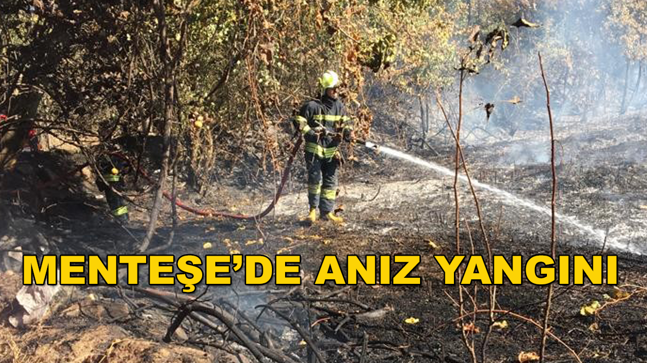 Menteşe'de Yakılan Temizlik Ateşi Yangına Dönüştü