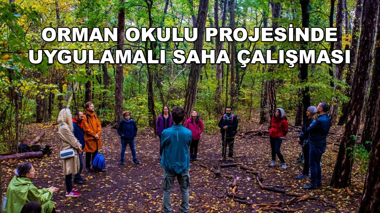 Ortaca Orman Okulu Öğretmenleri 30 Saatlik Saha Çalışması Yaptı