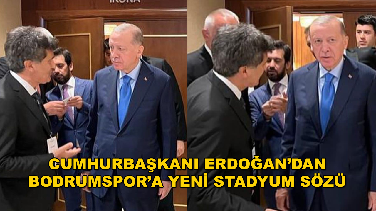 Bodrumspor Asbaşkanı Zeynel Kılıç, Cumhurbaşkanı Erdoğan'la Görüştü