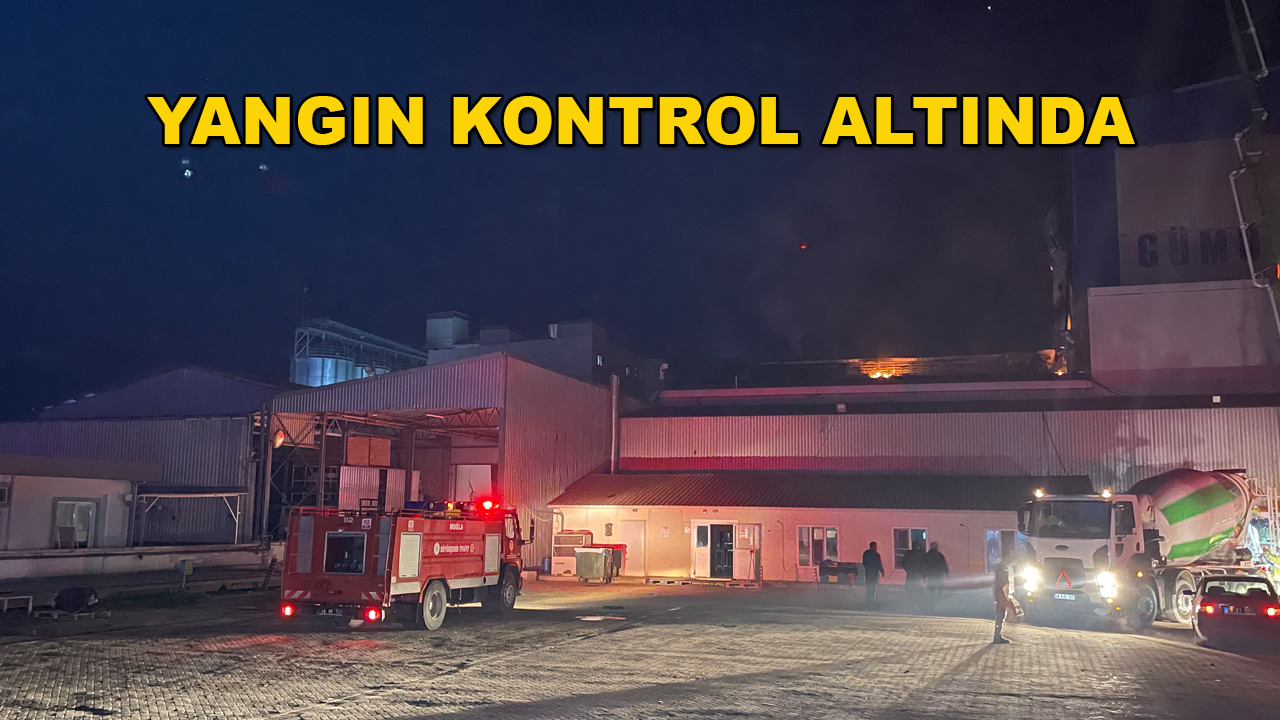 Milas'taki Fabrika Yangını Kontrol Altına Alındı