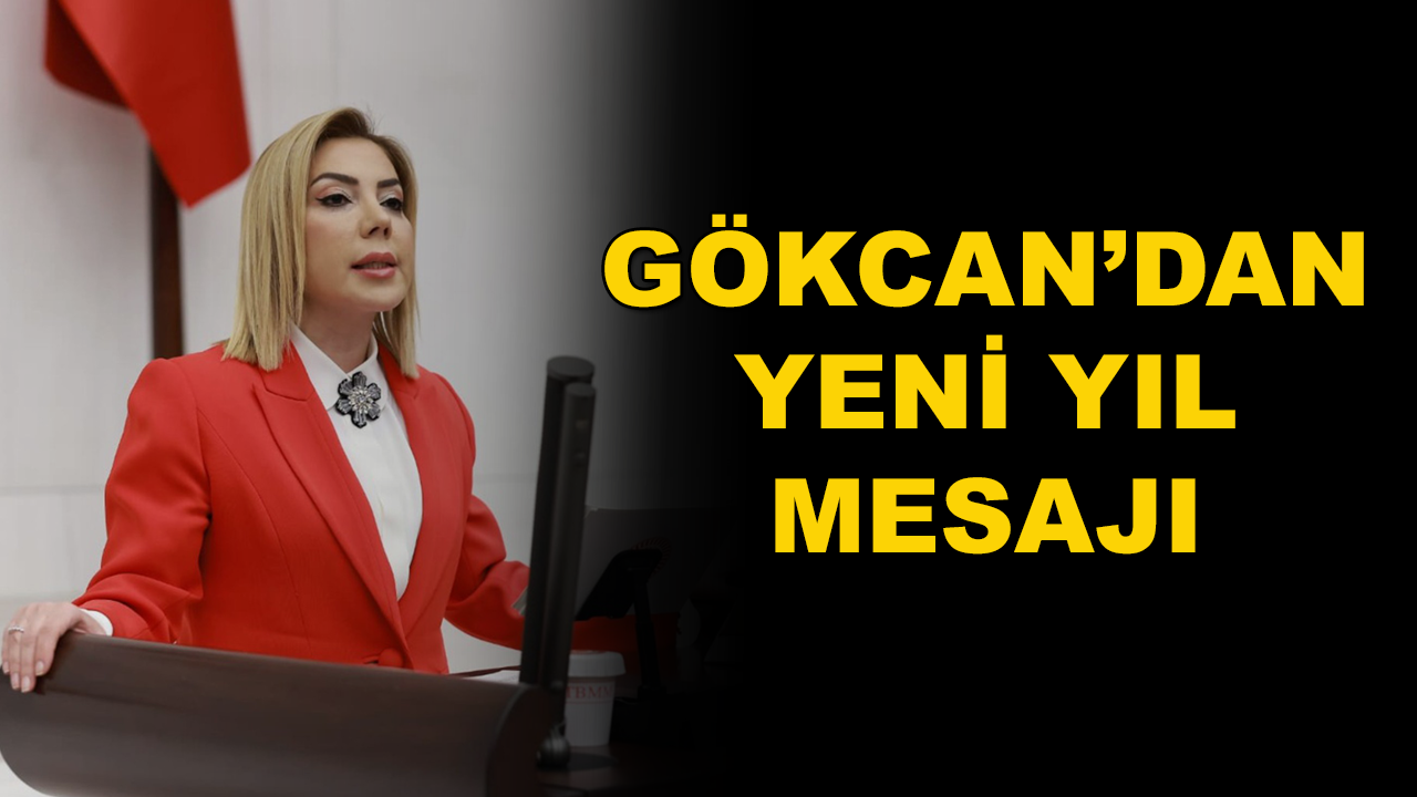 Milletvekili Yelda Erol Gökcan'dan Yeni Yıl Mesajı