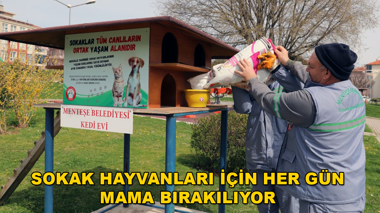 Menteşe'de Belediye Ekipleri Sokak Hayvanlarını Unutmuyor