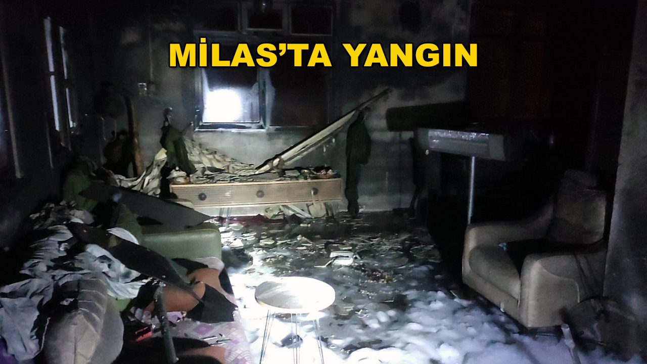 Milas'ta Meydana Gelen Yangında Ev Büyük Hasar Aldı