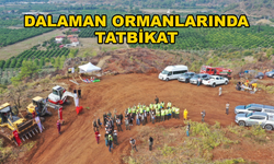 Köyceğiz ve Dalaman'da Silvikültür Tatbikatı Yapıldı