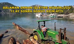 Mart Koyu'nda Dalaman Orman İşletmeden Geç de Olsa Gelen Adım