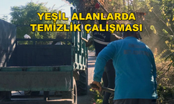Ortaca'da Yeşil Alanlar Kış Öncesi Temizleniyor