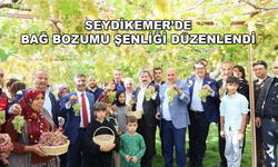 Seydikemer'de 6'ncı Bağbozumu Şenliği Düzenlendi