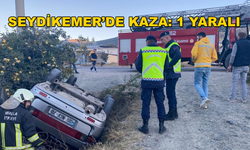 Seydikemer'de Meydana Gelen Kazada Sürücü Araçta Sıkıştı