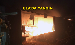 Ula'daki Mobilya İşyerinde Yangın