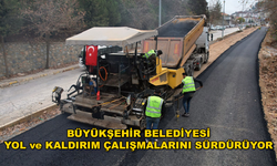 Büyükşehir Belediyesi Kavaklıdere'de Asfalt Çalışması Yapıyor