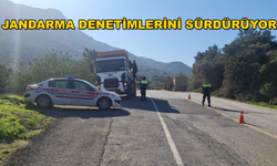 Bodrum'da Jandarma Ekipleri Yük Taşıyan Araçları Denetliyor