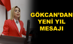 Milletvekili Yelda Erol Gökcan'dan Yeni Yıl Mesajı