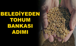 Menteşe Belediyesi Tarımsal Çalışmalarını Genişletiyor