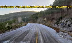 Muğla Büyükşehir Belediyesi Yollarda Tuzlama Çalışması Yapıyor