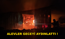 Seydikemer'de Bir Mobilya Atölyesinde Yangın Çıktı