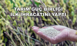 DALAMAN YEREL SUSAMINDAN ÜRETİLEN TAHİN YURT DIŞINA İHRAÇ EDİLDİ