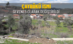 ORMANCI TÜRKÜSÜNÜN GEÇTİĞİ KÖYÜN ADI DEĞİŞTİ
