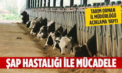 TARIM VE ORMAN MÜDÜRLÜĞÜ ŞAP AŞISI İLE İLGİLİ AÇIKLAMA YAPTI