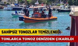 BODRUM'DA 10 TONLUK ATIK TEMİZLENDİ