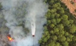 Muğla Seydikemer yanıyor! Havadan ve karadan müdahale ediliyor