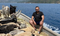 Fethiyeli işletmeci hayvanlarını tekne turuna çıkarıyor!