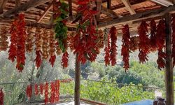 Muğla’da kış hazırlıkları rengarenk görüntülere sahne oldu!