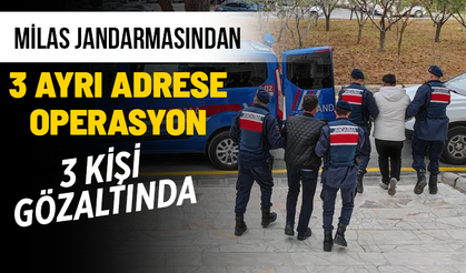 MİLAS'TA PKK/KCK ŞÜPHELİSİ 3 KİŞİ GÖZALTINA ALINDI