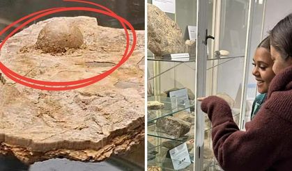 Avustralya’da 100 milyon yıllık inci bulundu!